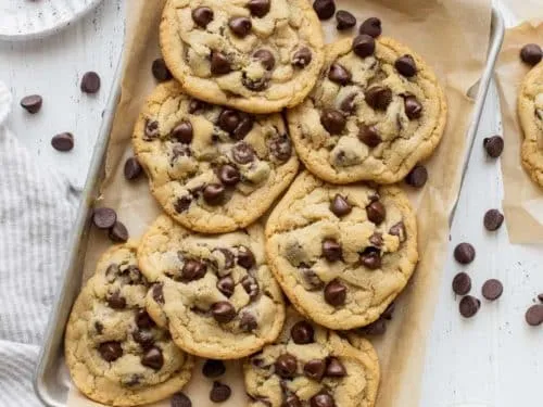 ثبت برند نان و شیرینی (ثبت فوری و ارزان)